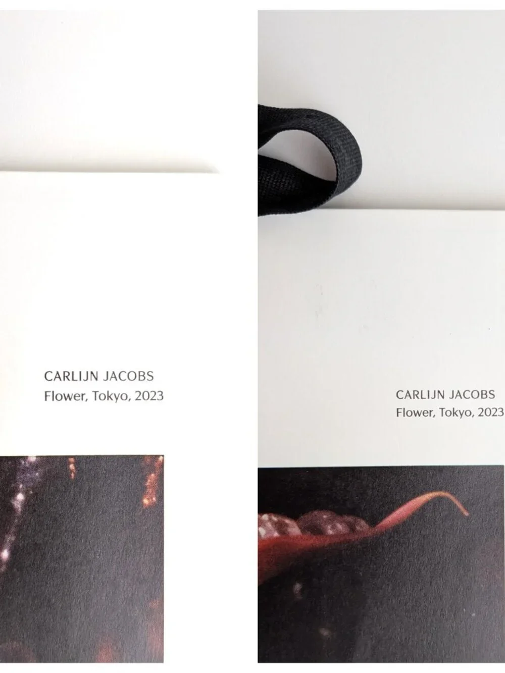 Lot of 4 Aritzia Artist Shopping Bags Gregory Crewdson Carlijn Jacobs Murphy